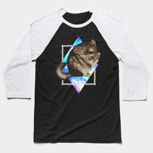 CHINCHILLA IN SPACE Baseball T-Shirt